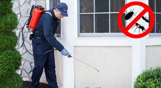 Korkuteli Böcek İlaçlama böcek ilaçlama ve haşere kontrolü — ilaclama-tr.com